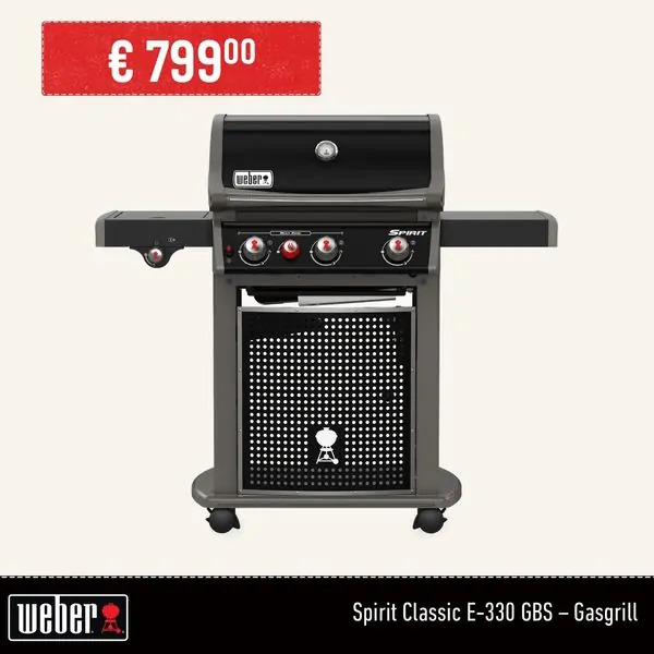 catalog ads example from WEBER with branding and product image 